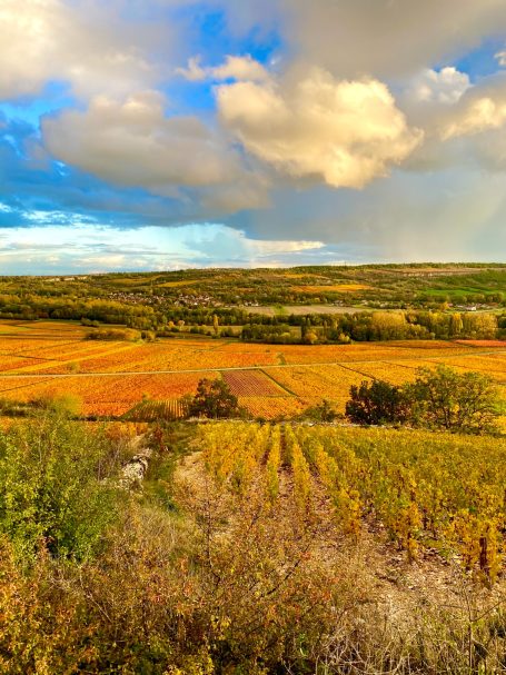 12,5 Hectares de Vigne en Bourgogne - Vue depuis le moulin de Santenay
